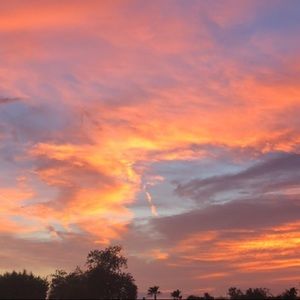 Meet your Posher, Carley